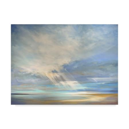 Sheila Finch 'Heavenly Light Ii' Canvas Art,18x24